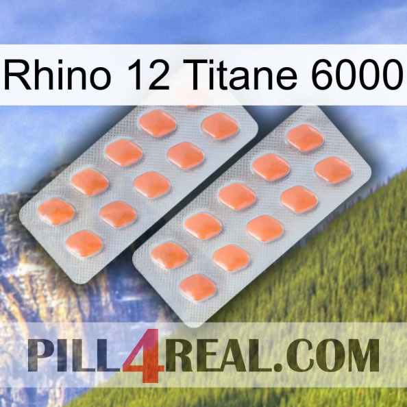 Rhino 12 Titanium 6000 27